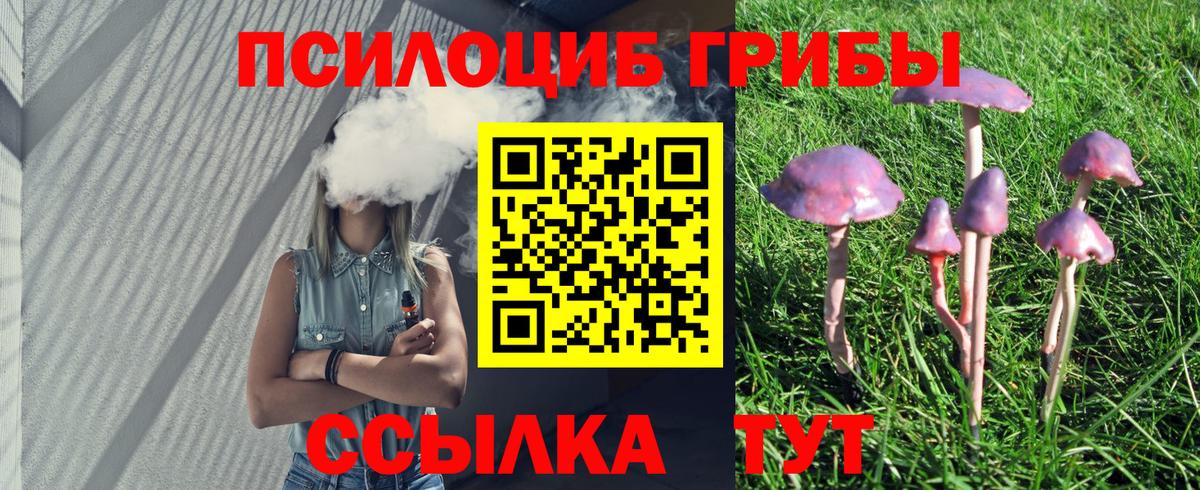Псилоцибиновые грибы Cubensis Братск