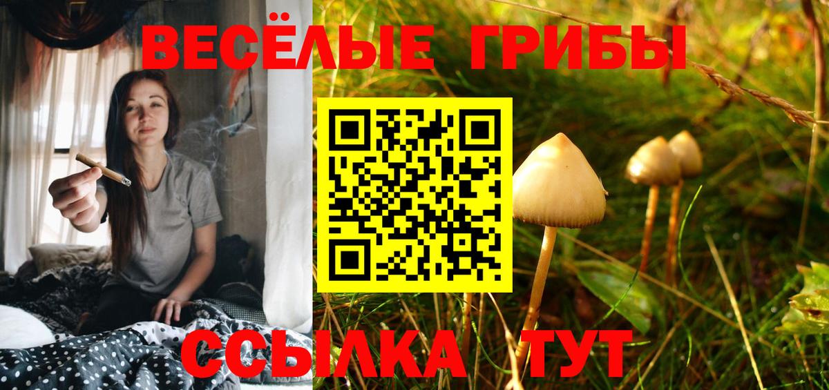 Псилоцибиновые грибы Cubensis  Вход с VPN  Псилоцибиновые грибы ЛСД  Братск 